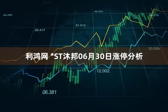 利鸿网 *ST沐邦06月30日涨停分析