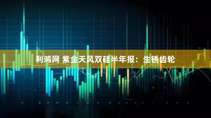 利鸿网 紫金天风双硅半年报：生锈齿轮
