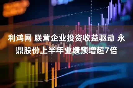 利鸿网 联营企业投资收益驱动 永鼎股份上半年业绩预增超7倍