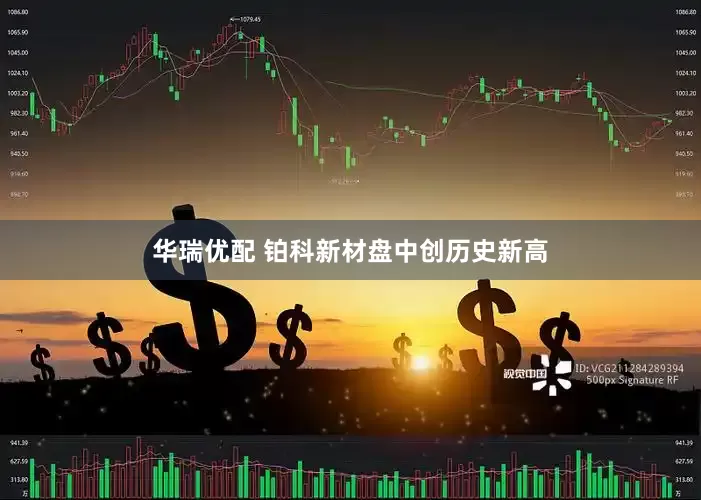 华瑞优配 铂科新材盘中创历史新高