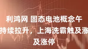 利鸿网 固态电池概念午后持续拉升，上海洗霸触及涨停