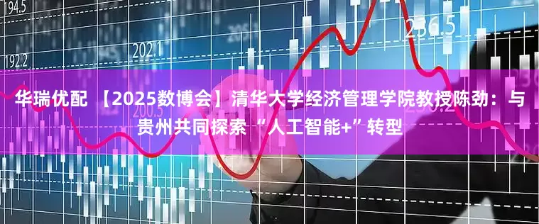 华瑞优配 【2025数博会】清华大学经济管理学院教授陈劲：与贵州共同探索 “人工智能+”转型