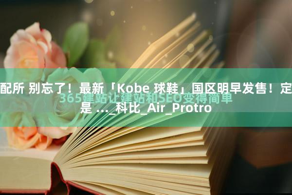 证配所 别忘了！最新「Kobe 球鞋」国区明早发售！定价是 ..._科比_Air_Protro