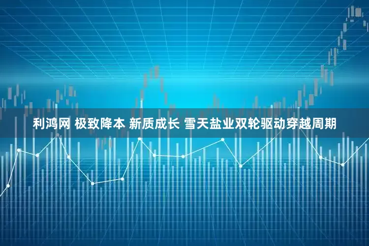 利鸿网 极致降本 新质成长 雪天盐业双轮驱动穿越周期